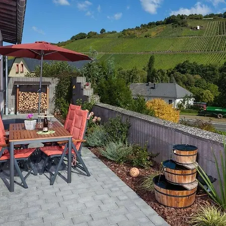 Holiday home Moselle Valley *