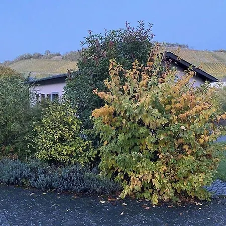 Moselle Valley Holiday home Maring-Noviand