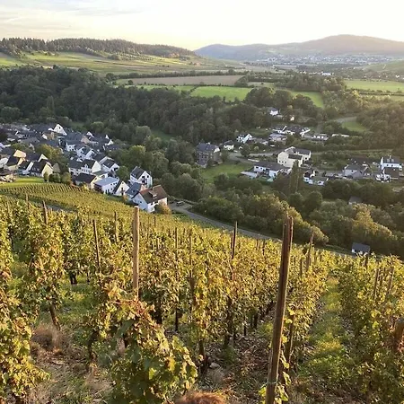 בית נופש Moselle Valley