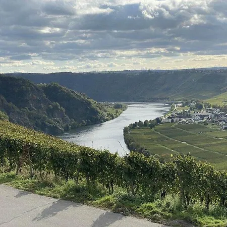 Holiday home Moselle Valley Maring-Noviand