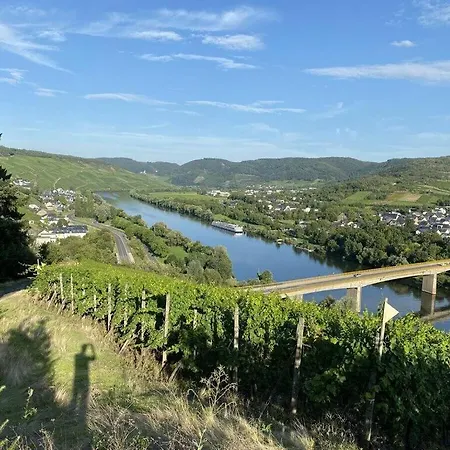 Moselle Valley Holiday home