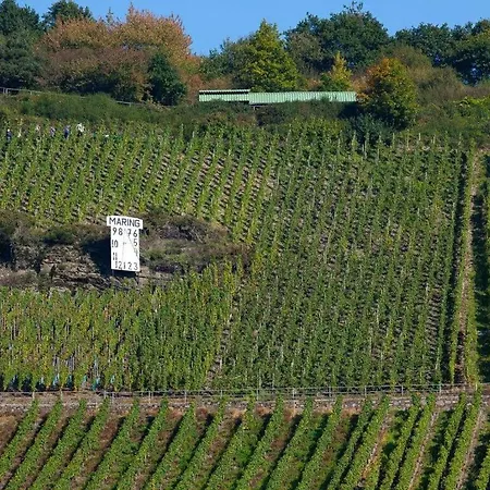 בית נופש Moselle Valley