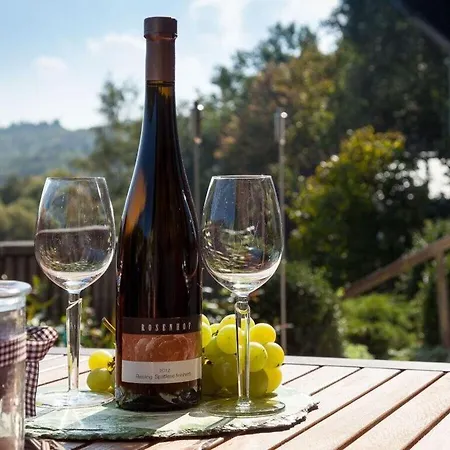 Moselle Valley Holiday home
