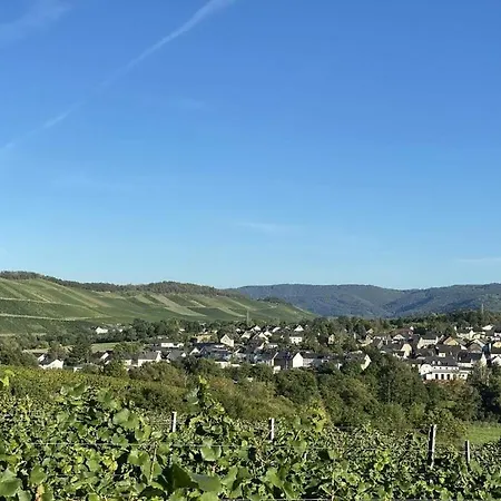 Moselle Valley Holiday home