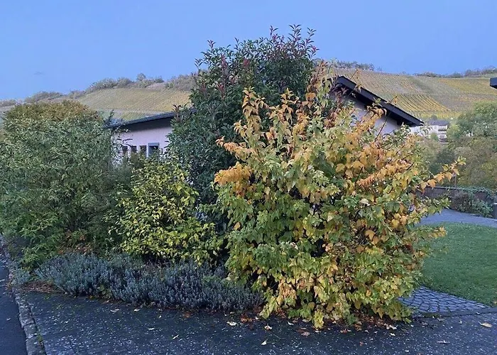 Moselle Valley 펜션 매링노비안드