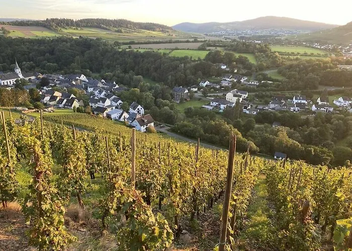 펜션 Moselle Valley