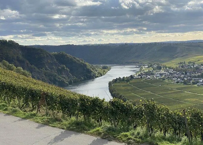 펜션 Moselle Valley 매링노비안드