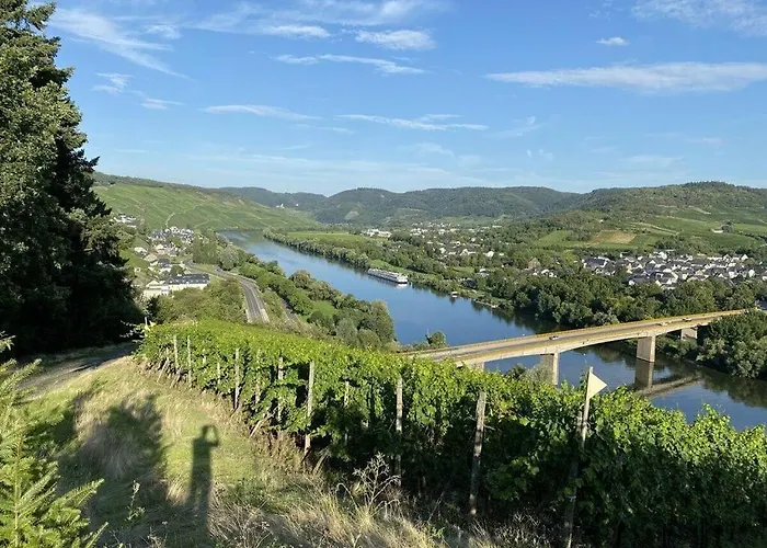 Moselle Valley 펜션
