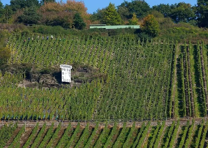 펜션 Moselle Valley