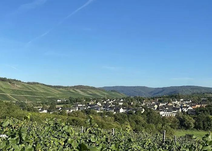 Moselle Valley 펜션